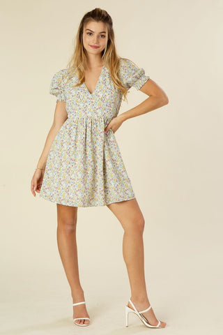 Frey Floral V neck dress