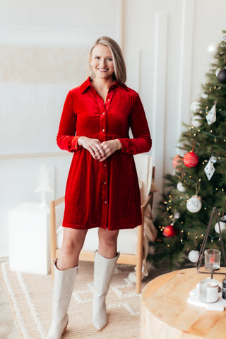 Celebrate Velvet Dress - 3 Colors