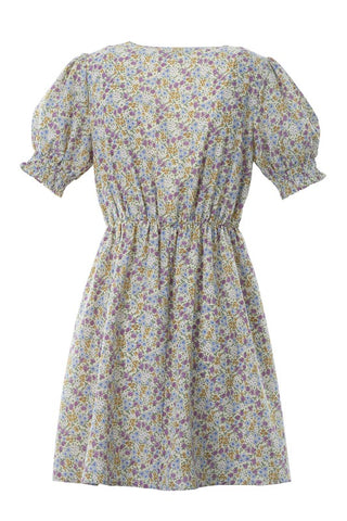 Frey Floral V neck dress